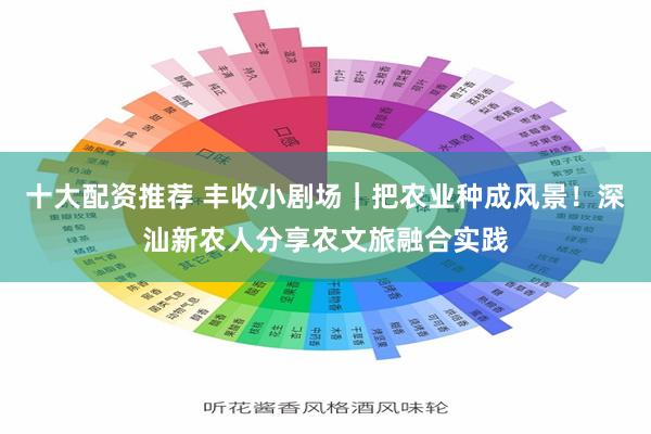 十大配资推荐 丰收小剧场｜把农业种成风景！深汕新农人分享农文旅融合实践