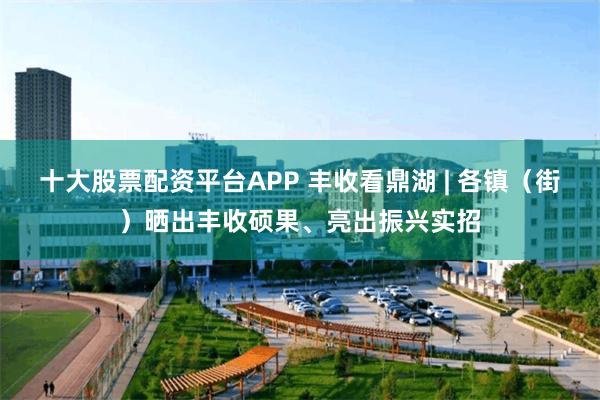 十大股票配资平台APP 丰收看鼎湖 | 各镇（街）晒出丰收硕果、亮出振兴实招