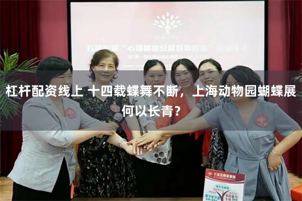 杠杆配资线上 十四载蝶舞不断,上海动物园蝴蝶展何以长青?