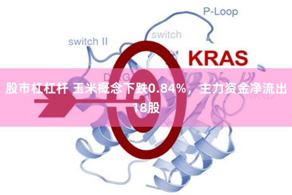 股市杠杠杆 玉米概念下跌0.84%，主力资金净流出18股