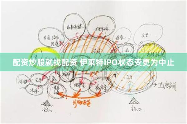 配资炒股就找配资 伊莱特IPO状态变更为中止