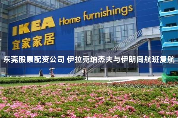 东莞股票配资公司 伊拉克纳杰夫与伊朗间航班复航
