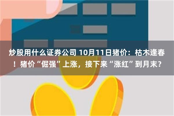 炒股用什么证券公司 10月11日猪价：枯木逢春！猪价“倔强”上涨，接下来“涨红”到月末？