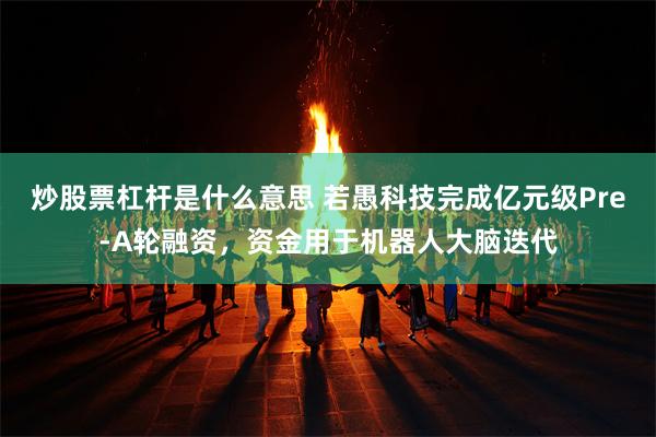 炒股票杠杆是什么意思 若愚科技完成亿元级Pre-A轮融资，资金用于机器人大脑迭代