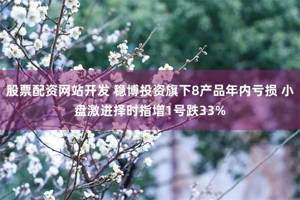 股票配资网站开发 稳博投资旗下8产品年内亏损 小盘激进择时指增1号跌33%